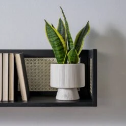 Étagère Murale CANEE -Étagères Soldes Magasin 1000242158 230328 022 MOOD DETAILS P000000001000242158 mood