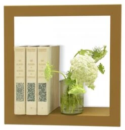 Etagère Design BigStick Carré (prof. -Étagères Soldes Magasin 6674038a0b71454c8288b5c94518237f.cropped 132 107 720 750.processed