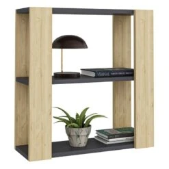 Étagère Murale Rakkestad à 2 Niveaux