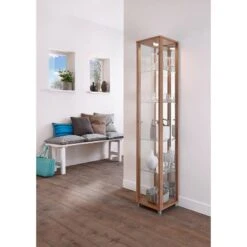 Vitrine Exhibit I -Étagères Soldes Magasin vitrine exhibit i mit spiegelrueckwand 4921332